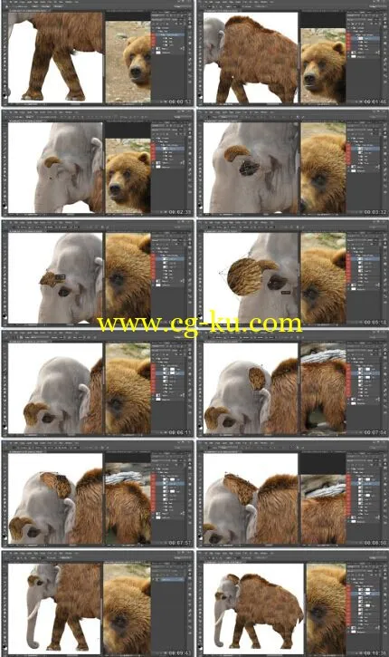 Digital-Tutors – Resurrecting Extinct Creatures in Photoshop的图片1