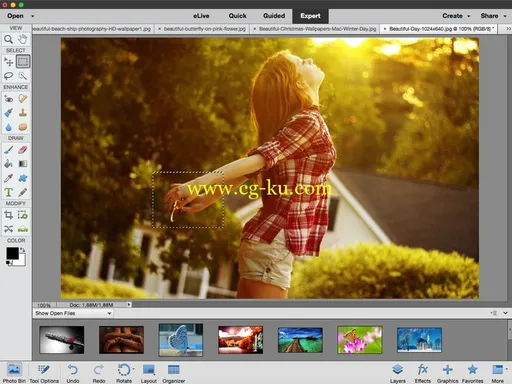 Adobe Photoshop Elements 14.1 Multilingual MacOSX的图片2