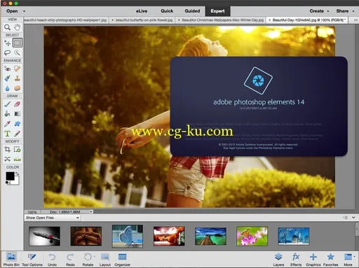 Adobe Photoshop Elements 14.1 Multilingual MacOSX的图片3