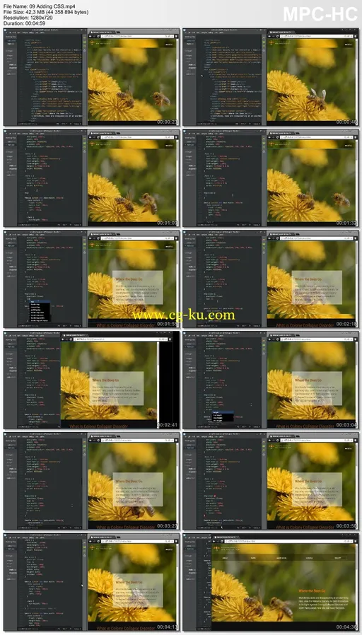 Creating Fullscreen HTML5 Video Backgrounds的图片2