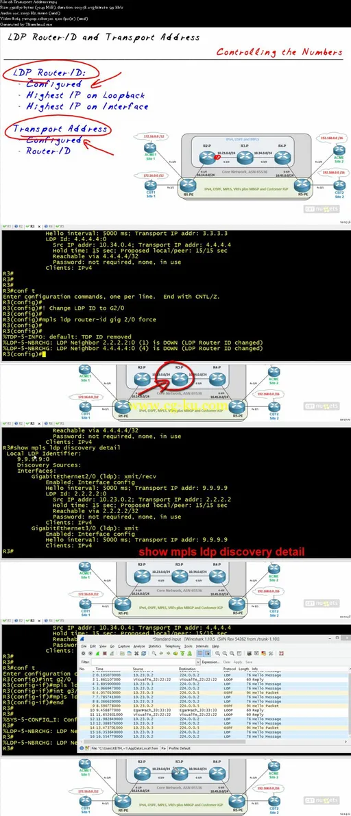 CBT Nuggets – MPLS Fundementals的图片2