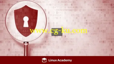 Learn To Run Linux Servers From Scratch (LPI Level 1-101)的图片1