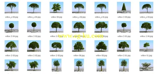 3DMentor – HQ Plants 1 高精度树木植物3D模型的图片1