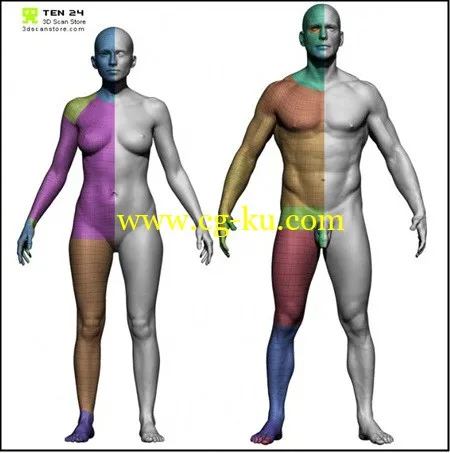 3D扫描店男女基础模型的图片1