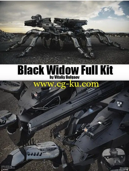 Black Widow Full Kit的图片1