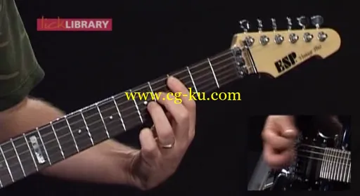 Lick Library – Guitar Techniques: Dimebag Darrell – DVD/DVDRip (2006)的图片3