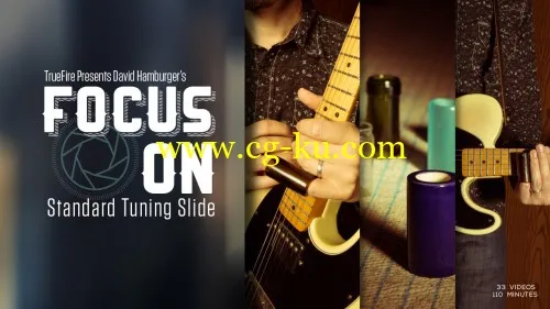 Truefire – David Hamburger’s Focus On: Standard Tuning Slide (2015)的图片1