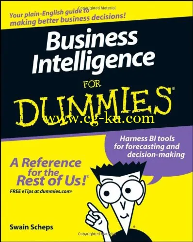 Business Intelligence For Dummies-P2P的图片1