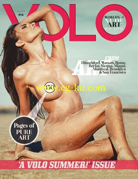 VOLO Magazine – June 2014 – P2P的图片1