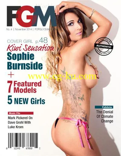 FGM – November 2014-P2P的图片1