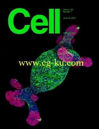 Cell – 18 June 2015的图片1