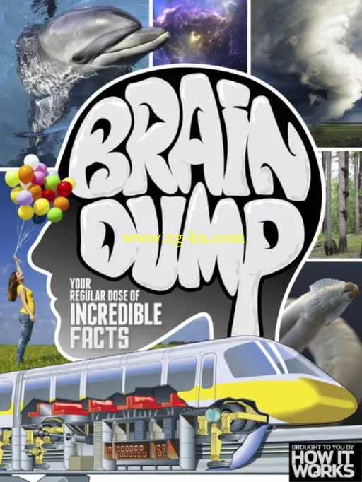 How It Works: Brain Dump – Issue 28 2015-P2P的图片1