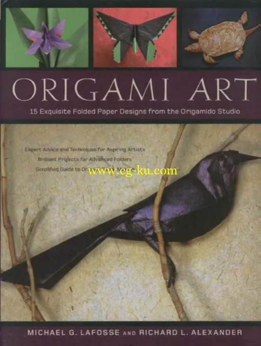 Advanced Origami: An Artist’s Guide To Performances In Paper-P2P的图片1