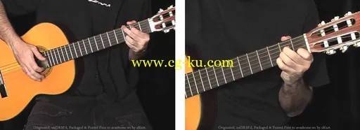 Shepherd – Jason Shepherd – Fingerstyle Guitar – In 8 Weeks – DVD (2005)的图片3