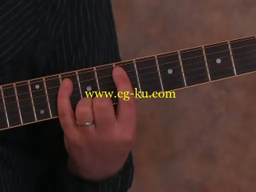 Guitarjamz.com – Quick Licks DVD的图片3