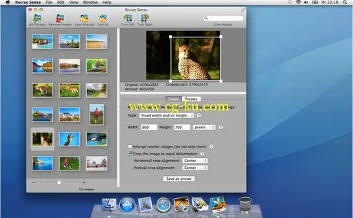 VeprIT Resize Sense 2.1.4 MacOSX的图片1