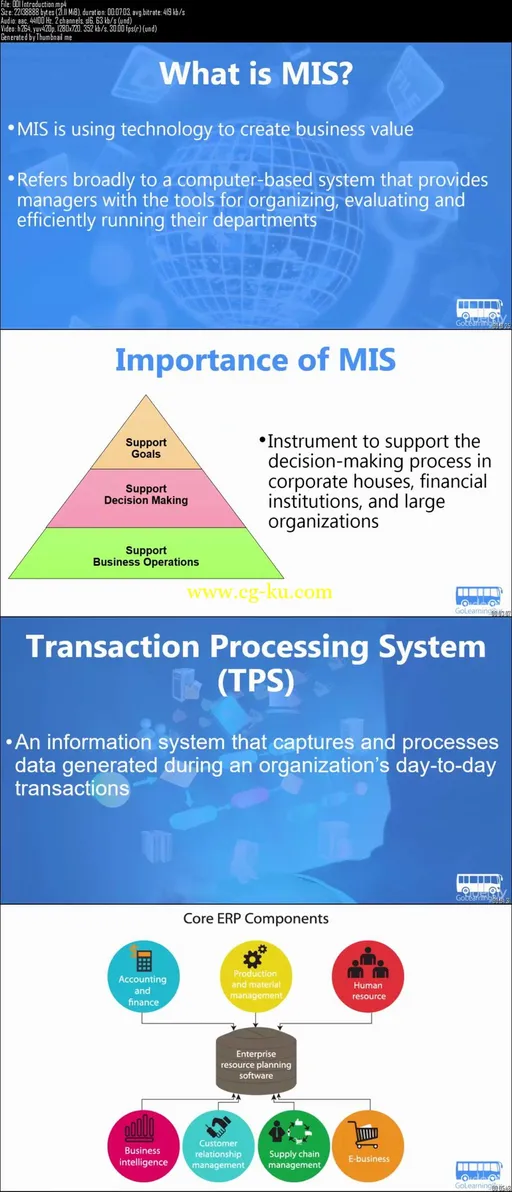 Learn MIS (Management Information System) By GoLearningBus的图片2