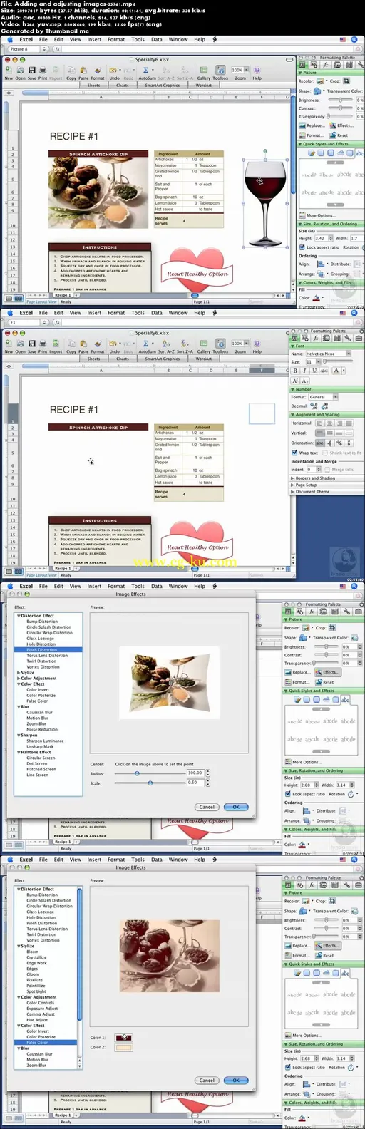 Lynda – Excel 2008 For Mac Essential Training的图片2