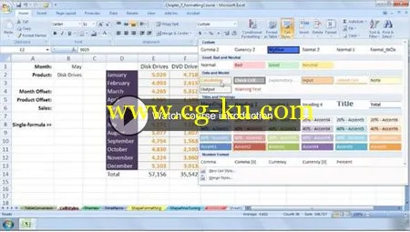 Lynda – Excel 2007: Advanced Formatting Techniques的图片1