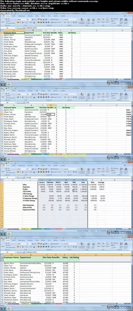 Lynda – Excel 2007: Advanced Formatting Techniques的图片2