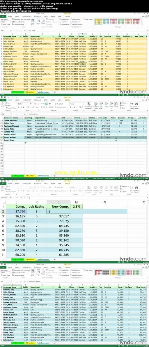 Lynda – Excel 2013: Managing And Analyzing Data的图片2