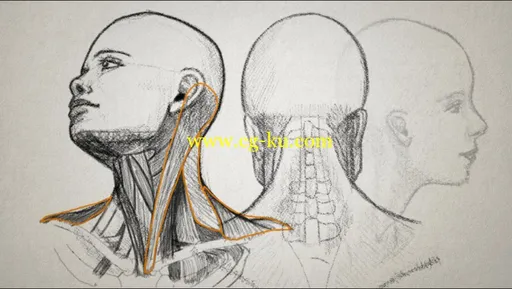 Drawing The Human Head + Project Files的图片1