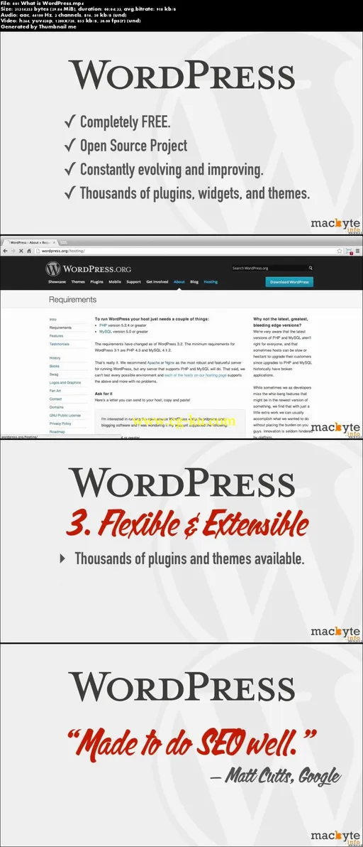 Learn WordPress From Scratch的图片2
