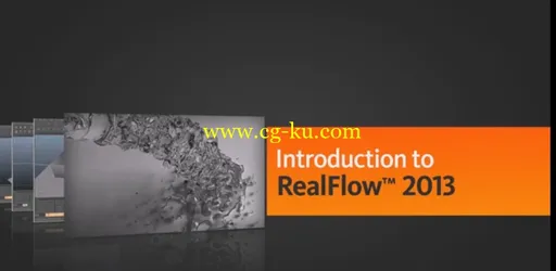 RealFlow的2013最基本的概念和工作流程的图片1