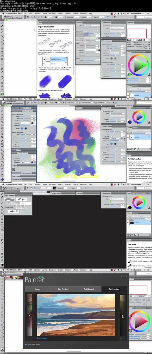 Getting Started With Corel Painter 2016 Training Video的图片2