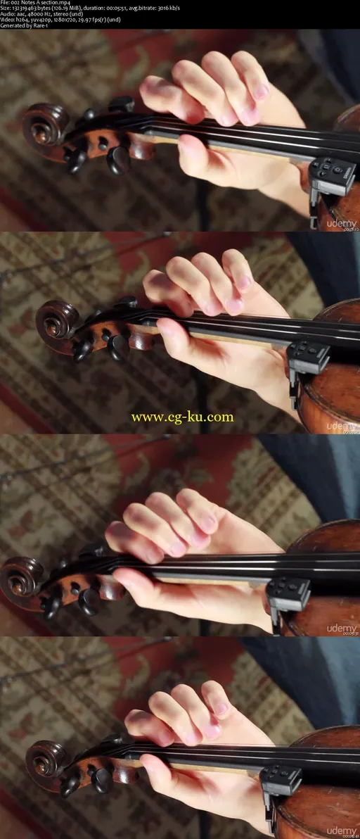 Learn To Play Irish Fiddle的图片2