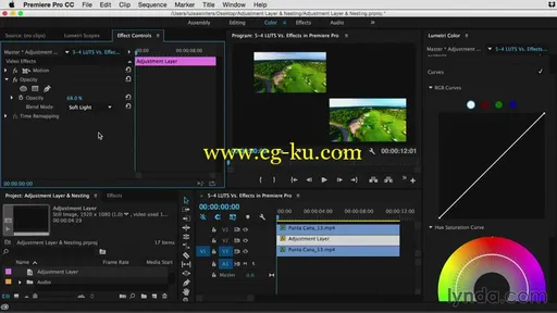 Lynda – Premiere Pro Guru: Adjustment Layers And Nesting的图片3