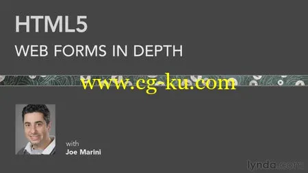 HTML5: Web Forms In Depth的图片1