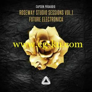 音效下载CAPSUN ProAudio – Roseway Studio Sessions Vol 1 – Future Electronica WAV的图片1