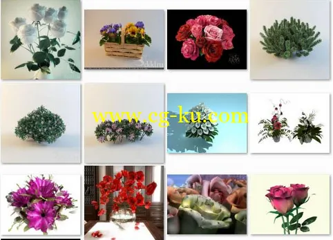 3DDD Plants的图片1
