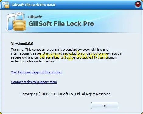 GiliSoft File Lock Pro 8.8.0的图片2