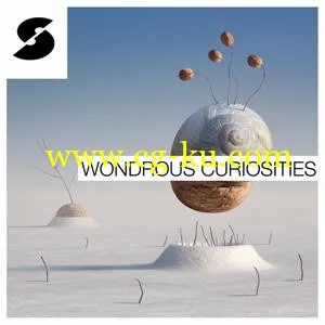 音效下载Samplephonics Wondrous Curiosities MULTiFORMAT的图片1