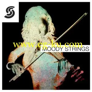 Samplephonics Moody Strings WAV的图片1