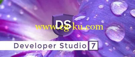 SILKYPIX Developer Studio Standard 7.1.5.0的图片1