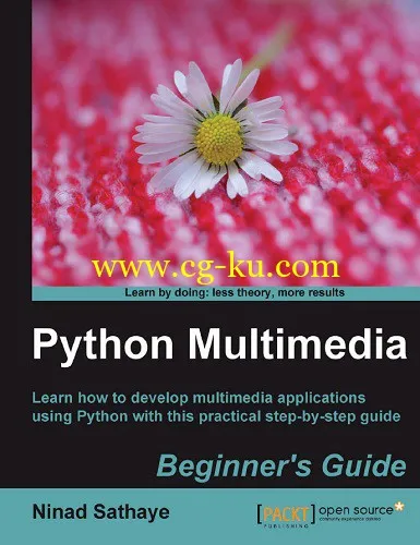Python Multimedia-P2P的图片1