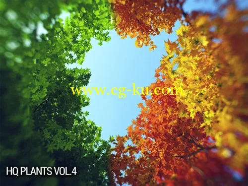 vrayc4d— Cinema4D植物模型第4卷的图片1
