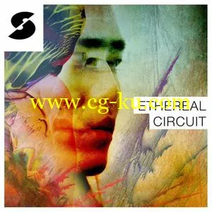 音效下载Samplephonics Ethereal Circuit MULTiFORMAT的图片1