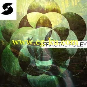 音效下载Samplephonics Fractal Foley MULTiFORMAT的图片1