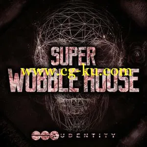 音效下载Audentity Super Wobble House WAV MiDi的图片1