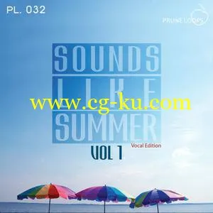 音效下载Prune Loops – Sounds Like Summer Vol 1 – Vocal Edition WAV MiDi的图片1