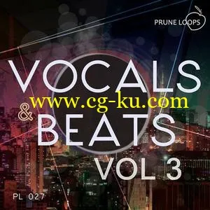 音效下载Prune Loops – Vocals & Beats Vol 3 WAV MiDi的图片1