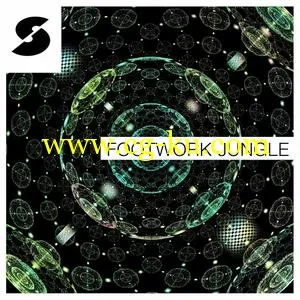 音效下载Samplephonics Footwork Jungle MULTiFORMAT的图片1