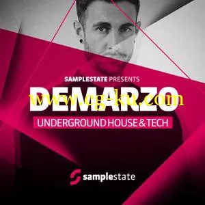 音效下载Samplestate Demarzo Underground House and Tech MULTiFORMAT的图片1