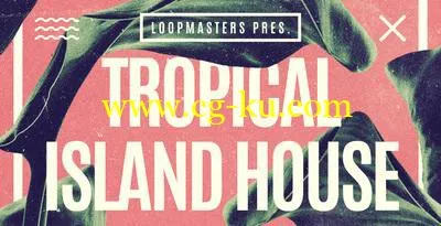音效下载Loopmasters Tropical Island House WAV MiDi REX的图片1