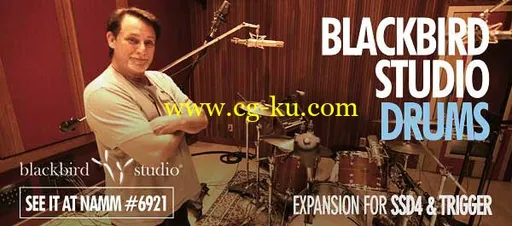 音效下载Steven Slate SSD4 Blackbird Studio Drums Expansion的图片1