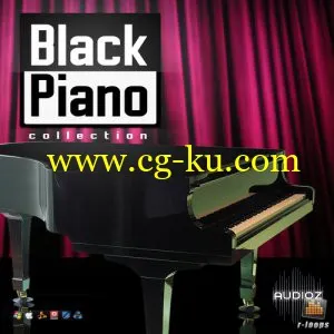 黑色钢琴收集的图片1